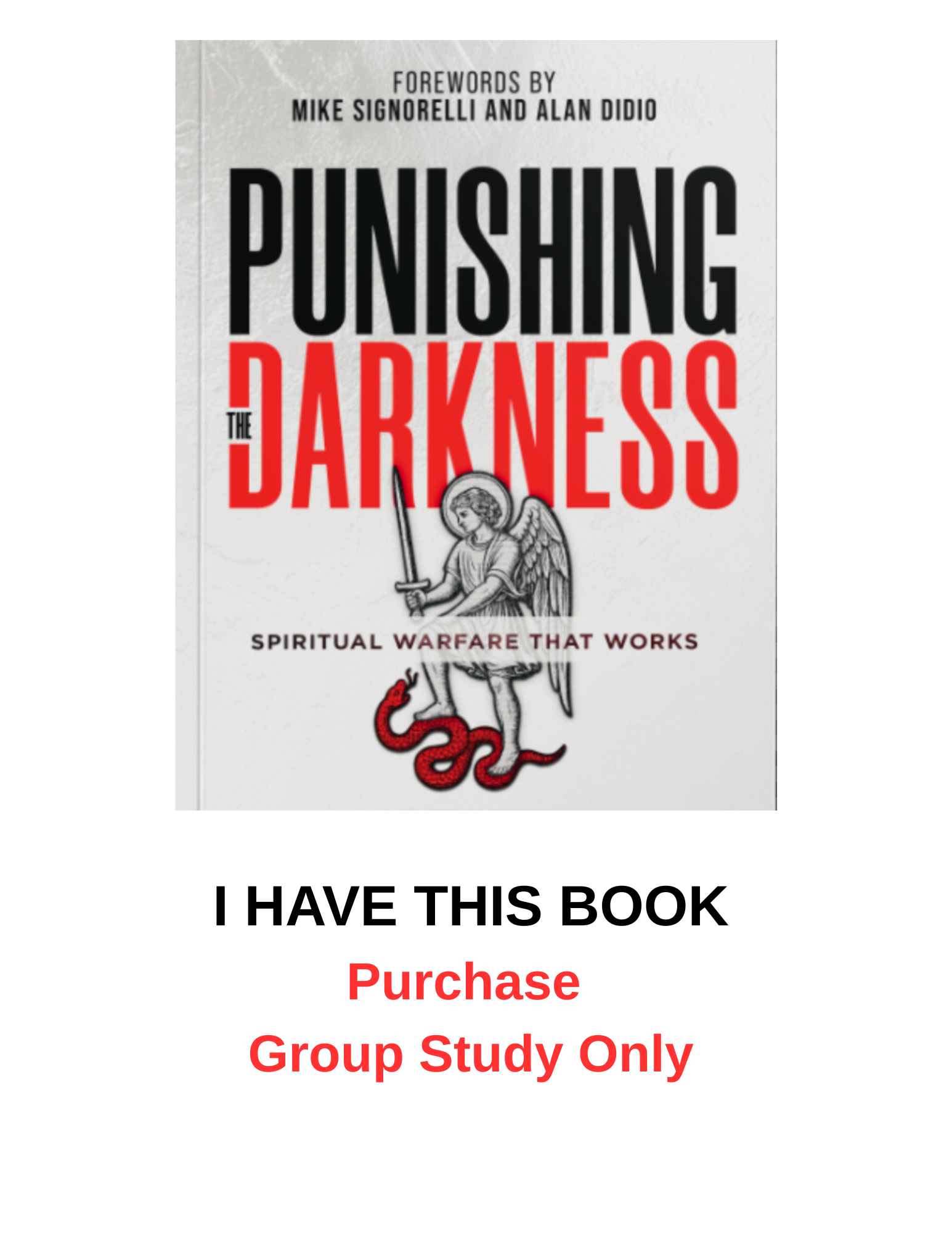 Online Study Group - Already have the book? Punishing the Darkness (PARTICIPANT ONLY)