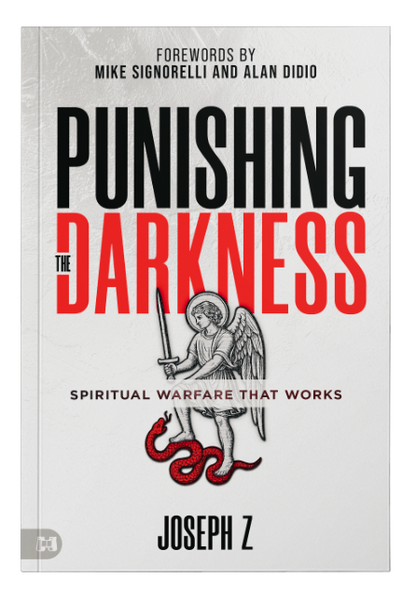 PRE-ORDER - Punishing the Darkness Book