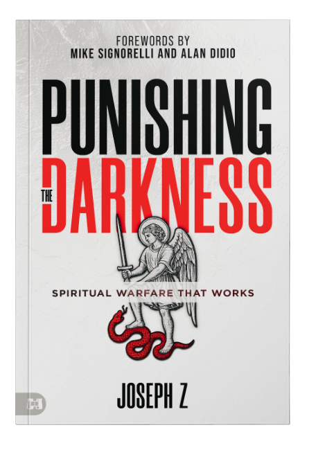PRE-ORDER - Punishing the Darkness Book