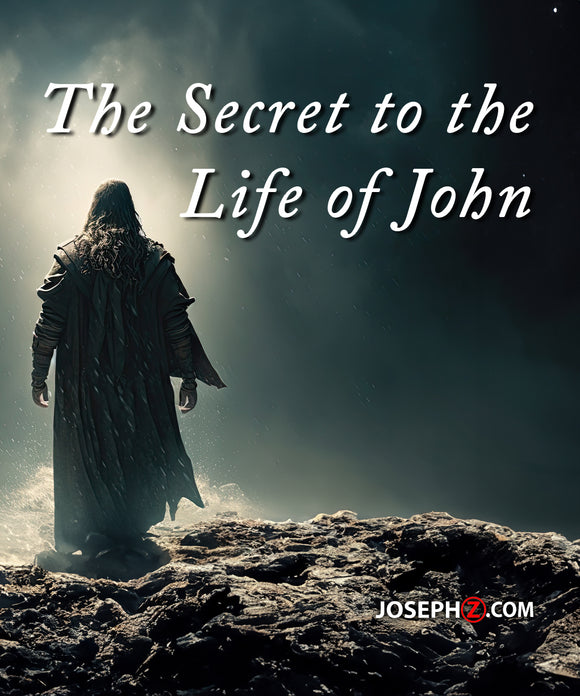 [PRE-ORDER] The Secret to the Life of John